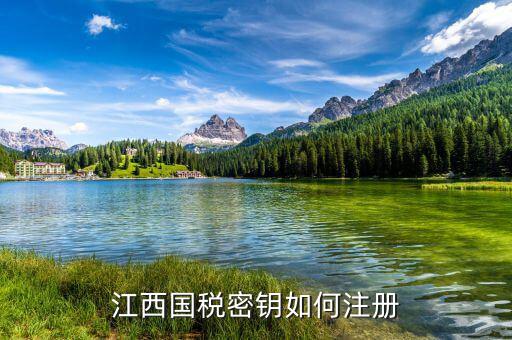 江西國(guó)稅密鑰是什么意思，為啥江西國(guó)稅的CA密鑰總是裝不成功