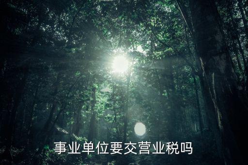 事業(yè)單位報(bào)的是什么稅，事業(yè)單位要申報(bào)哪些稅