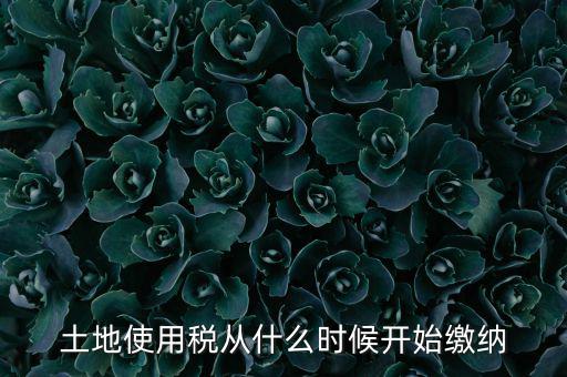 土地使用稅什么時(shí)候開始交，什么時(shí)候開始繳納房產(chǎn)稅和土地使用稅是否都要繳納