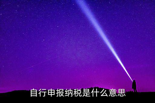 自行申報納稅是什么意思