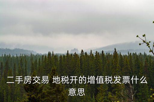 二手房交易 地稅開(kāi)的增值稅發(fā)票什么意思