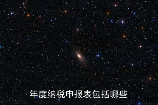 什么是年度納稅申報表，年度納稅申報表包括哪些