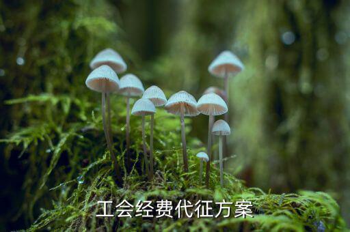 工會(huì)經(jīng)費(fèi)為什么委托稅務(wù)機(jī)關(guān)代征，工會(huì)經(jīng)費(fèi)交地稅局是怎么回事