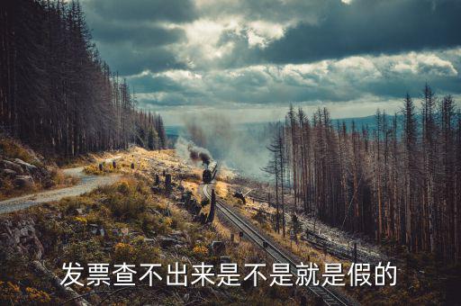 什么發(fā)票查不到真假，增值稅的發(fā)票真?zhèn)尾椴坏皆趺崔k