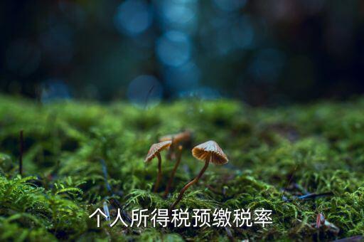 什么是個人所得稅預征率，個人所得稅預扣預繳是什么意思