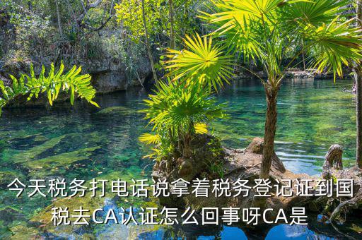 電子稅務(wù)局什么是ca登錄，網(wǎng)上報(bào)稅CA驗(yàn)證系統(tǒng)是甚么