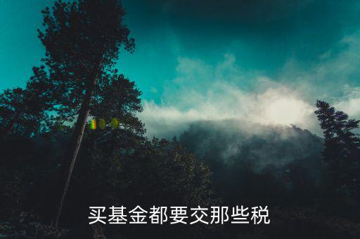 基金公司交什么稅，買基金都要交那些稅