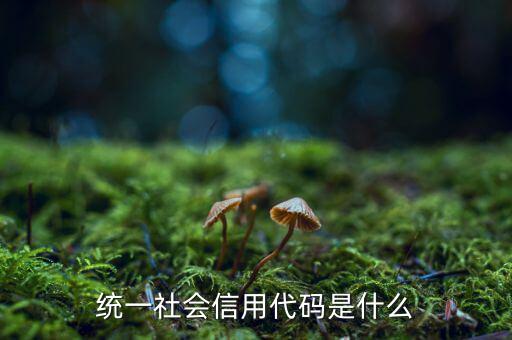 營業(yè)執(zhí)照統(tǒng)一社會(huì)信用代碼是什么，營業(yè)執(zhí)照上的統(tǒng)一社會(huì)信用代碼是什么意思