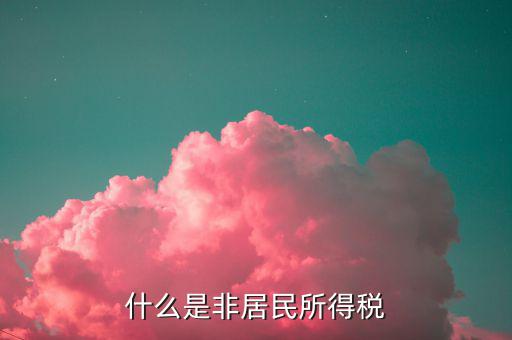 什么是非居民所得稅申報(bào)，什么是非居民所得稅