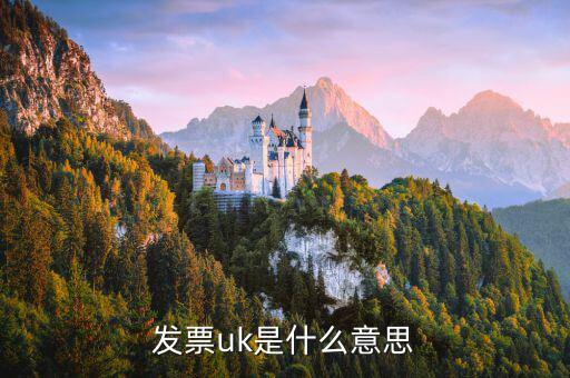 發(fā)票中u是什么意思，在發(fā)票中UM EA 和UP是什么意思
