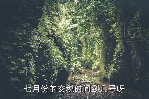 福建地稅7月報稅到什么時候，請問7月份國稅地稅的征期截止到哪天