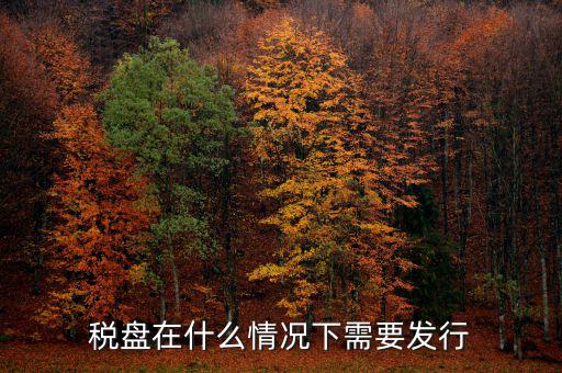 稅控盤變更發(fā)行是什么意思，更換稅控盤需要什么