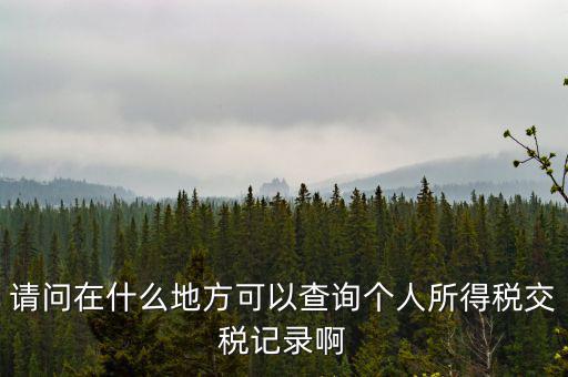 請(qǐng)問(wèn)在什么地方可以查詢(xún)個(gè)人所得稅交稅記錄啊