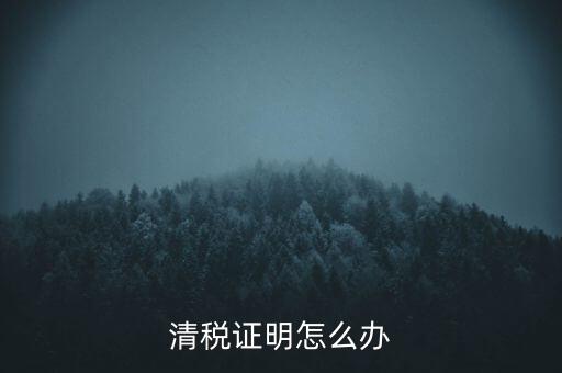 稅務(wù)無紙化辦公要什么材料，清稅證明怎么辦