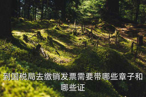 繳銷出口商品統(tǒng)一發(fā)票要蓋什么章，到國(guó)稅局去繳銷發(fā)票需要帶哪些章子和哪些證