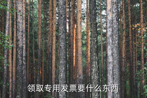 領購專票需要帶什么，領購增值稅專用發(fā)票需要帶哪些東西詳細點謝謝