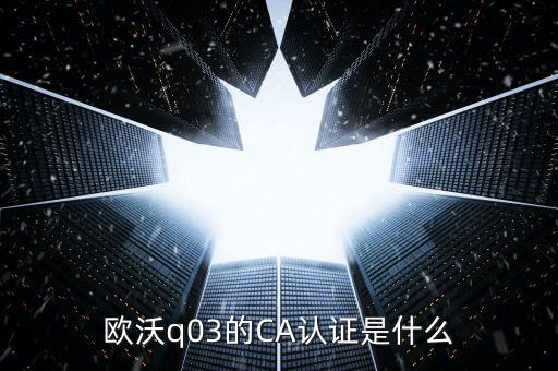 ca認(rèn)證密碼是什么，歐沃q03的CA認(rèn)證是什么