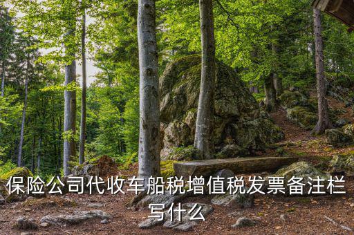 保險(xiǎn)公司代開車船稅備注注什么，請(qǐng)問一下發(fā)票備注欄能夠?qū)懯裁?/></a></span><span id=