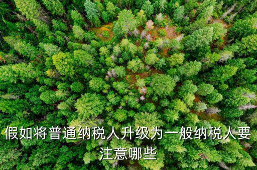 什么是升級版納稅人，假如將普通納稅人升級為一般納稅人要注意哪些