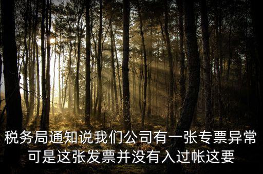稅務(wù)局通知說我們公司有一張專票異?？墒沁@張發(fā)票并沒有入過帳這要