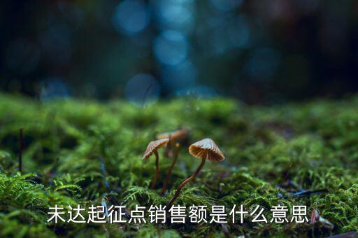 未達(dá)起征點(diǎn)銷售額是什么意思，未達(dá)起征點(diǎn)銷售額是什么意思