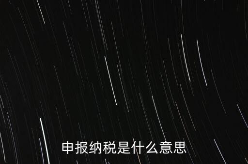 通用申報(bào)稅是什么，非稅收入通用申報(bào)表是什么稅