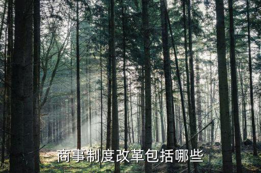 國稅商事制度改革是什么，商事制度改革
