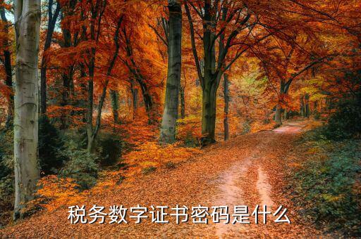 煙臺國稅證書密碼是什么，登錄國稅網(wǎng)上辦稅服務(wù)廳的用戶名和密碼是什么