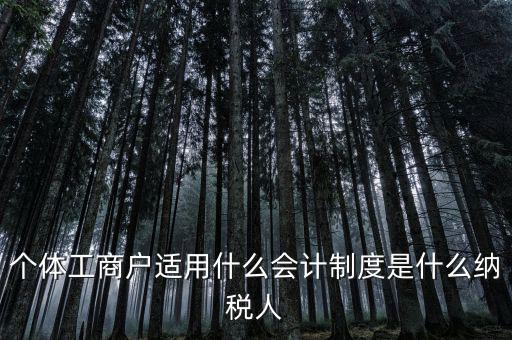 個體戶屬于什么納稅人，從事縫紉業(yè)務的個體戶屬于哪一類納稅人