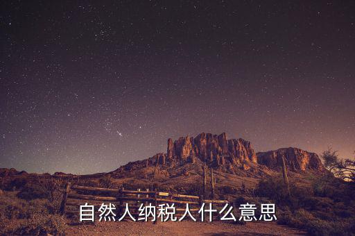 什么是自然人辦稅，自然人納稅人什么意思