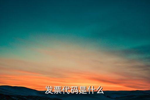 開(kāi)發(fā)票六位代碼是什么，增值稅專用發(fā)票6位開(kāi)票代碼是什么意思