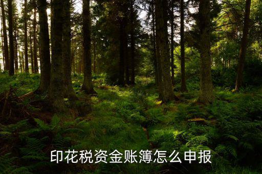 賬簿印花稅申報選什么，賬簿印花稅如何申報