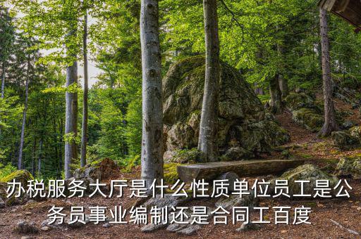 什么是辦稅服務(wù)大廳，辦稅服務(wù)廳的基本服務(wù)包括哪些