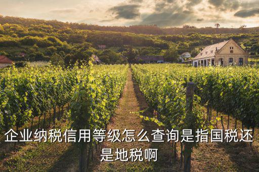 什么等級(jí)的公司報(bào)什么稅如何查，納稅等級(jí)查詢在哪里查