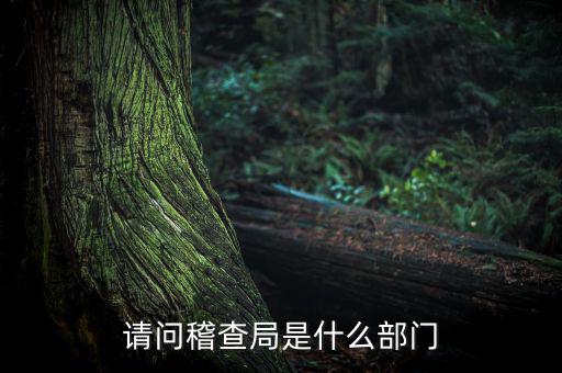稅務(wù)稽查局有什么權(quán)利，稅務(wù)稽查局是否具有行政處罰權(quán)
