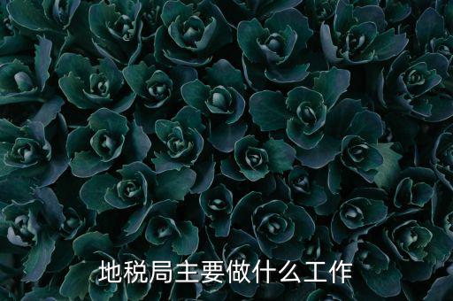 地稅局主要管什么的，地稅局工作的主要內容