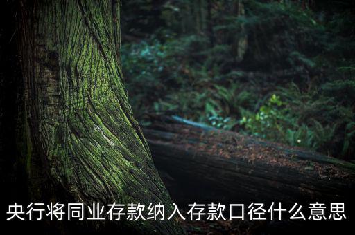業(yè)務(wù)口徑是什么意思，銀行說的十四行口徑是什么意思