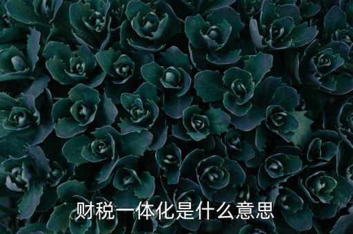 什么是稅收一體化，財稅一體化客戶端V11是什么啊必須用嗎