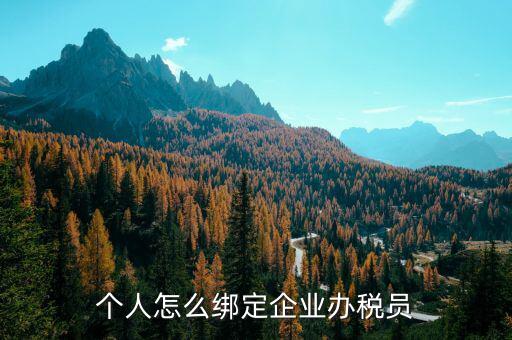 辦稅人員該綁定什么人，個(gè)人怎么綁定企業(yè)辦稅員