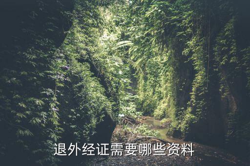 外經(jīng)證注銷(xiāo)需要帶什么資料，退外經(jīng)證需要哪些資料