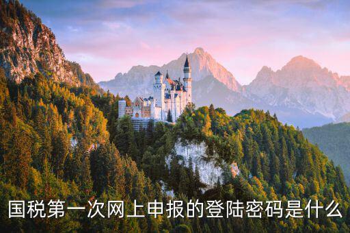 國稅網報口令是什么，國稅第一次網上申報的登陸密碼是什么