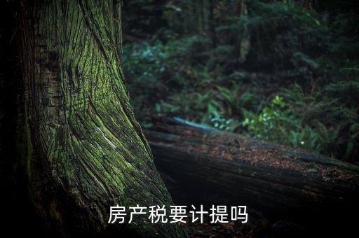 房產(chǎn)稅列入什么費(fèi)用，房產(chǎn)稅要計(jì)提嗎
