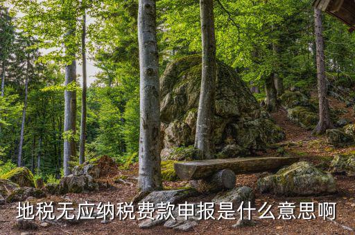 地稅無稅申報包括什么，地稅申報表無稅申報是什么意思我這個月要0申報是點擊