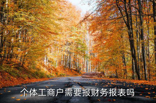 個(gè)體戶都需要申報(bào)什么表，個(gè)體工商戶需要報(bào)財(cái)務(wù)報(bào)表嗎