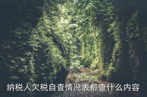 重點(diǎn)納稅人走訪情況表是什么，納稅人自查情況說明表里各項(xiàng)都填什么