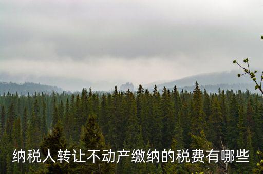 轉(zhuǎn)讓不動(dòng)產(chǎn)交什么稅，納稅人轉(zhuǎn)讓不動(dòng)產(chǎn)繳納的稅費(fèi)有哪些