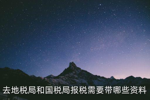到國(guó)稅報(bào)稅需要什么，去地稅局和國(guó)稅局報(bào)稅需要帶哪些資料