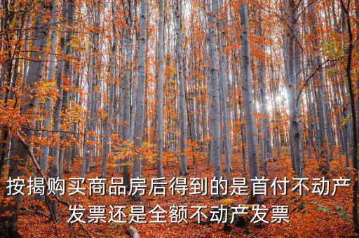什么是全額不動產(chǎn)發(fā)票，想問一下購房全額發(fā)票到底是什么的侯才開是在交房的時侯還是辦