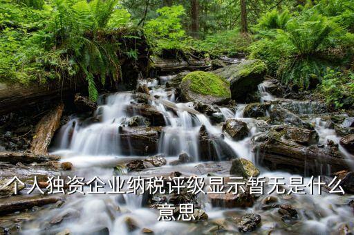 納稅評(píng)級(jí)有什么意思，個(gè)人獨(dú)資企業(yè)納稅評(píng)級(jí)顯示暫無(wú)是什么意思