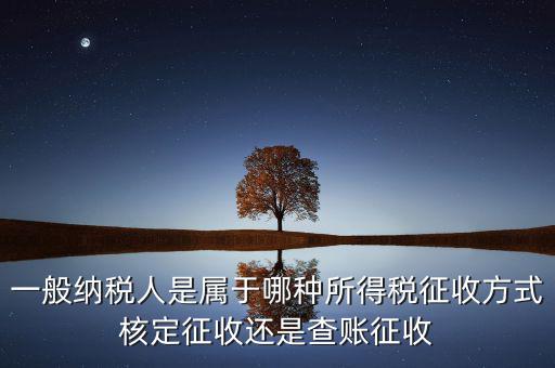 一般納稅人屬于什么，什么是一般納稅人